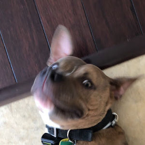 Meet your Posher, Jonathan